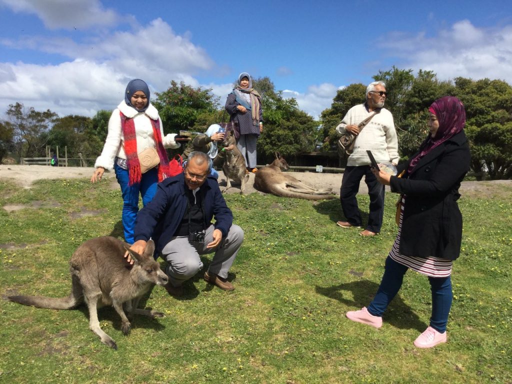 Pakej Pelancongan ke Melbourne