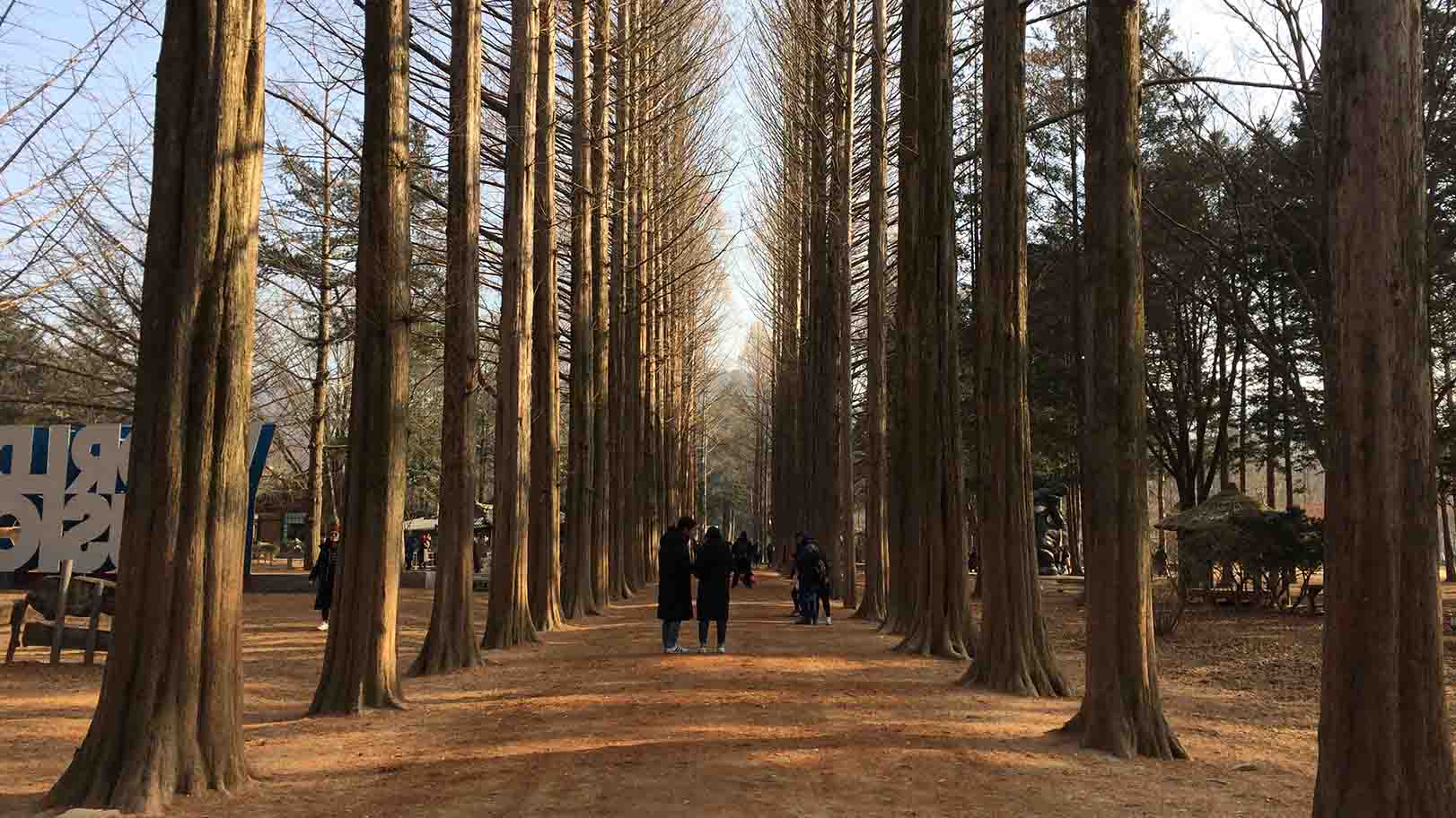 Tempat Menarik di Seoul